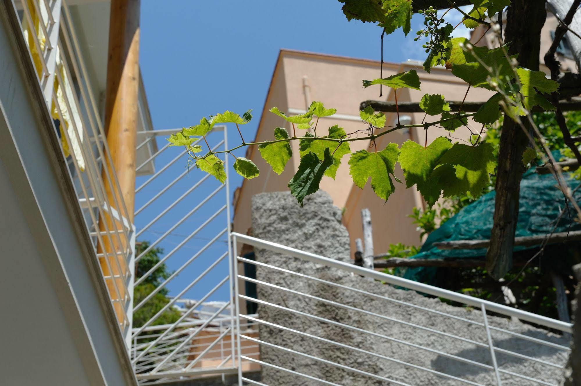 Apartahotel La Dolce 2*